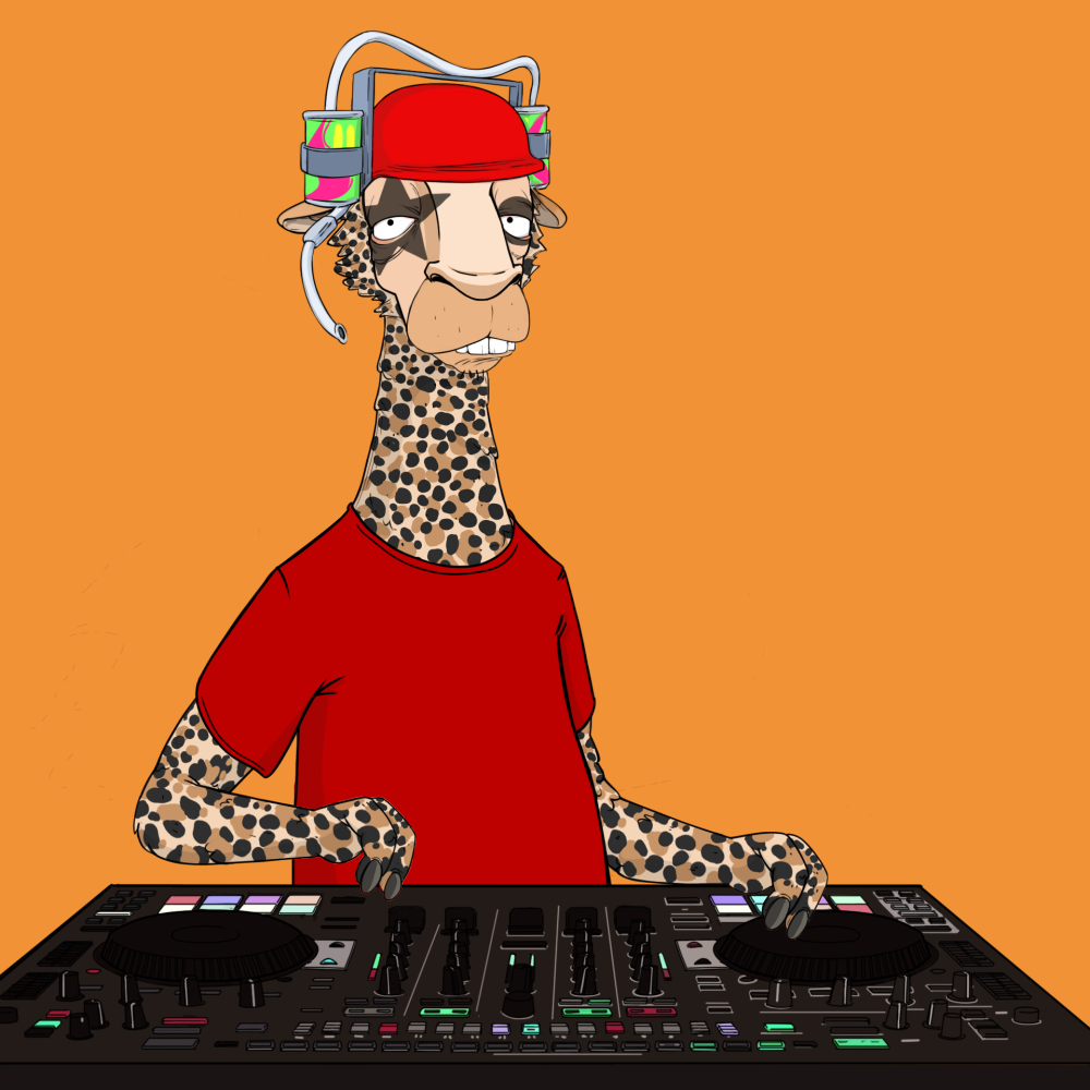 Jammin' Alpacas #7492
