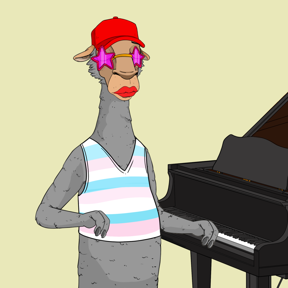 Jammin' Alpacas #7506