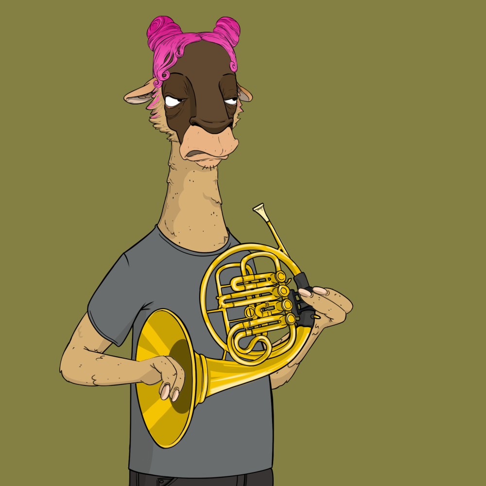 Jammin' Alpacas #7507