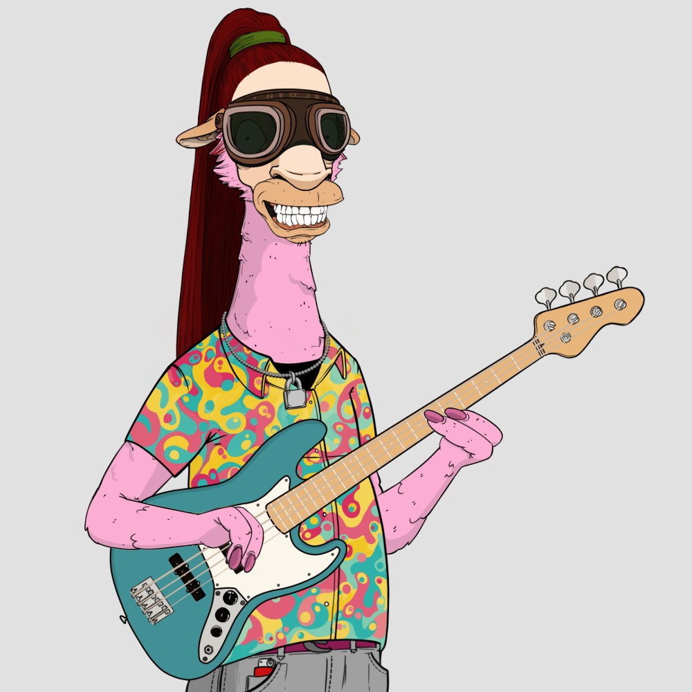 Jammin' Alpacas #7559