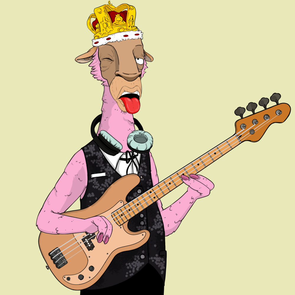 Jammin' Alpacas #7623
