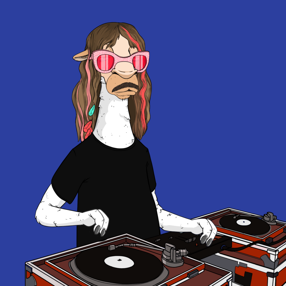 Jammin' Alpacas #7672