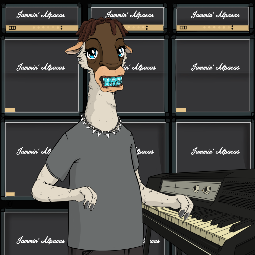 Jammin' Alpacas #7678