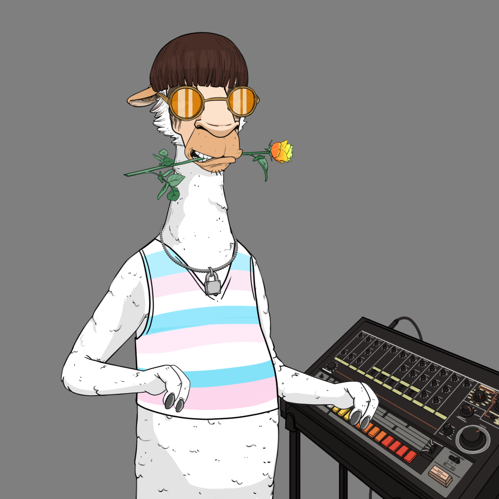 Jammin' Alpacas #7775