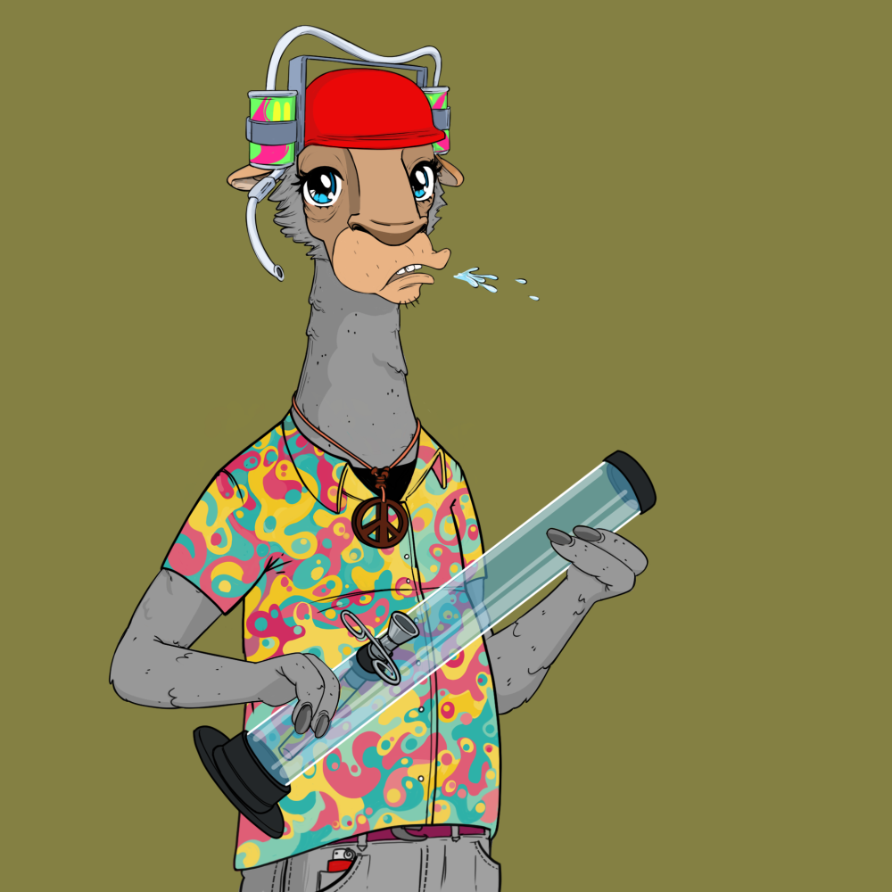 Jammin' Alpacas #7777