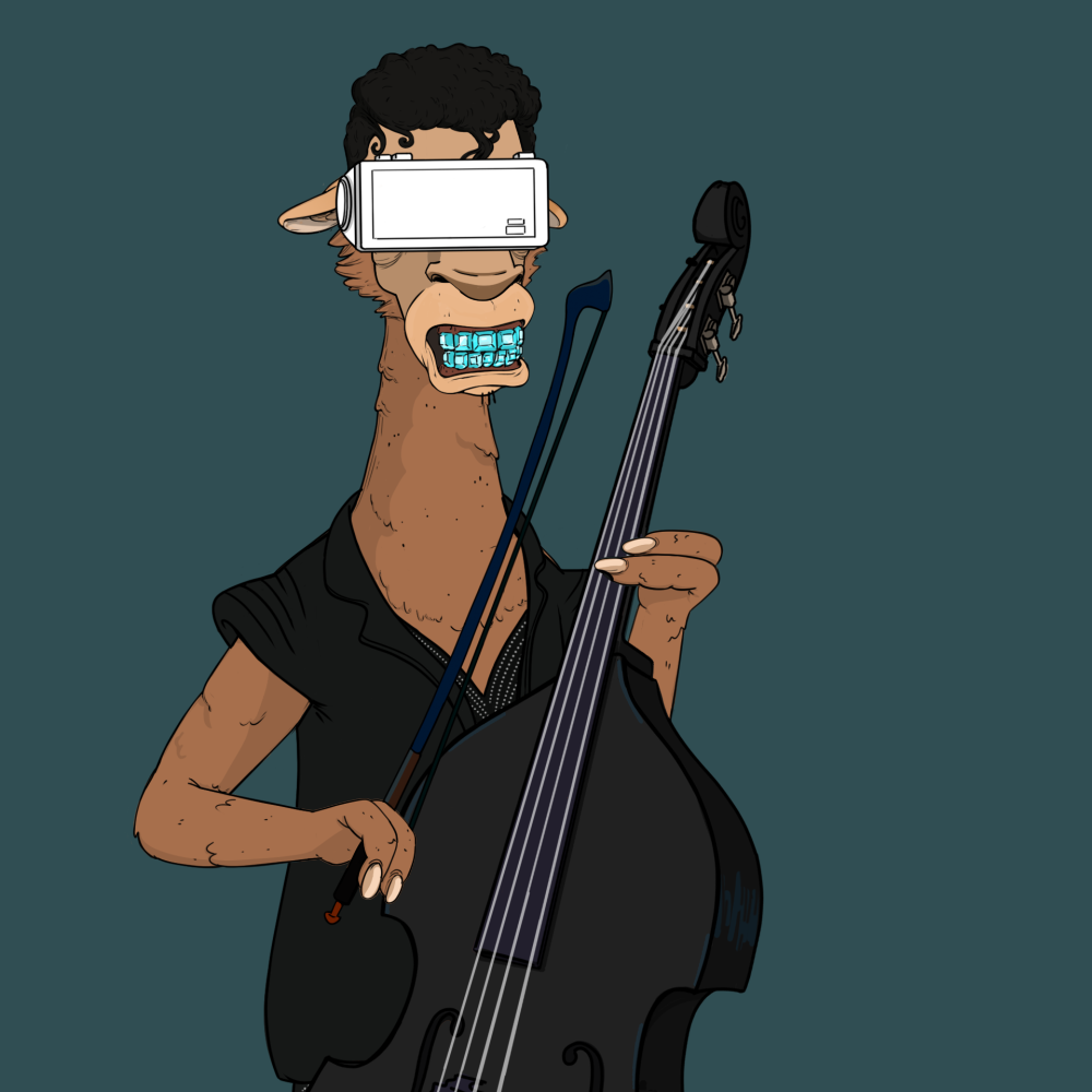 Jammin' Alpacas #7850
