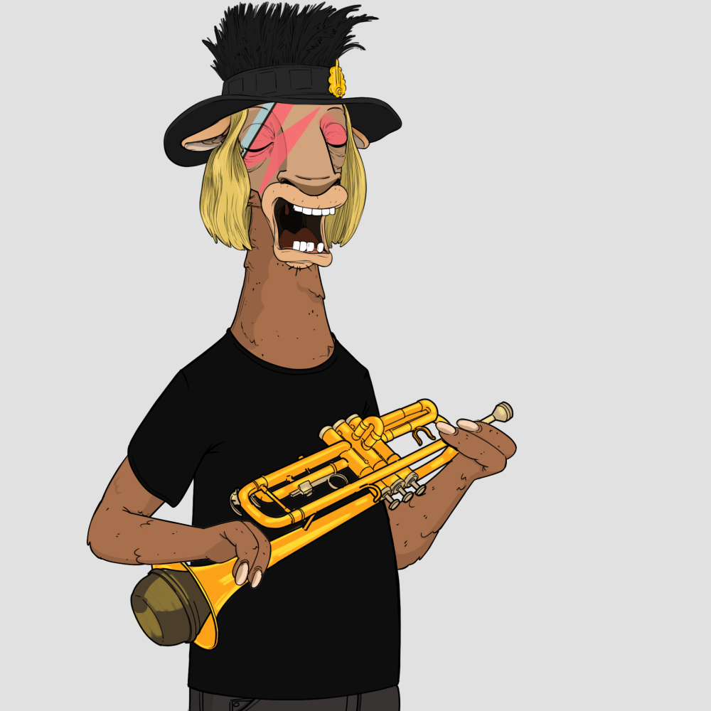 Jammin' Alpacas #7866