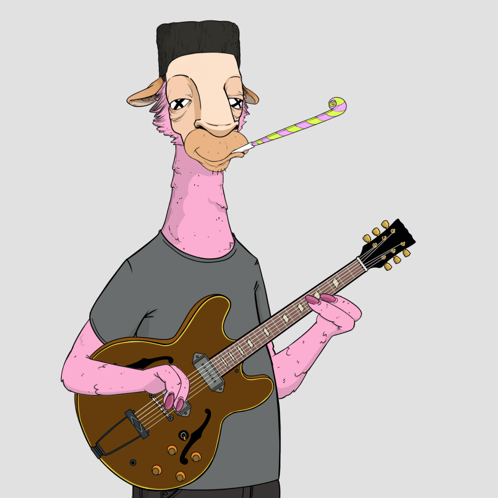 Jammin' Alpacas #7894