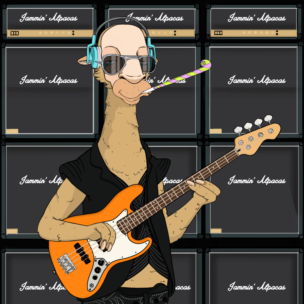 Jammin' Alpacas #8003