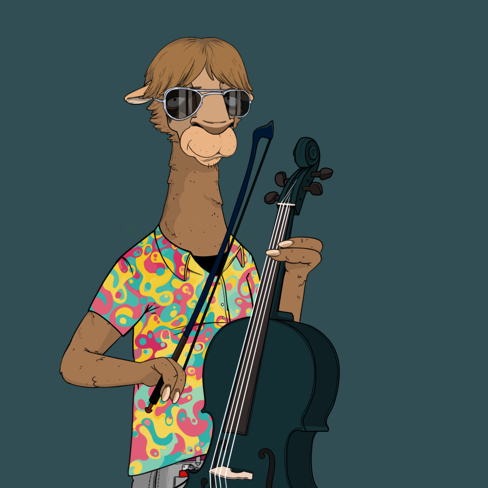 Jammin' Alpacas #8009