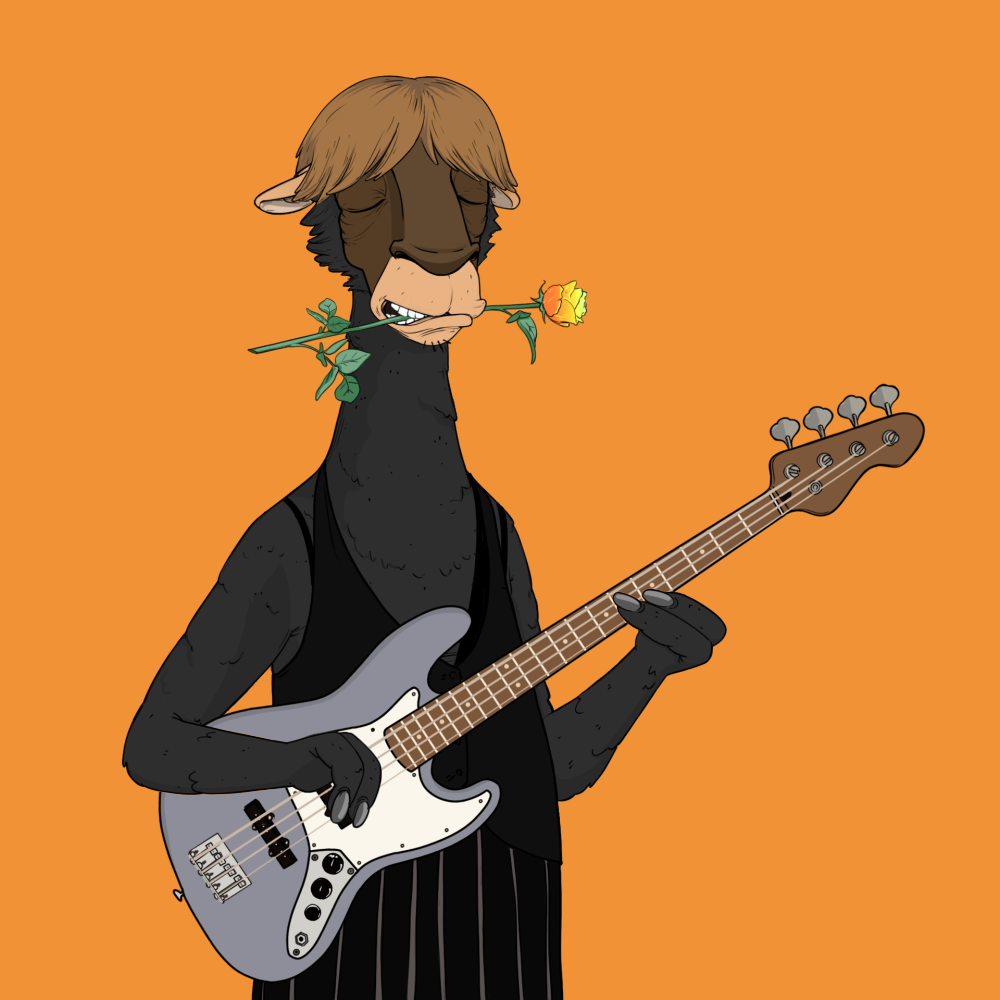 Jammin' Alpacas #8034