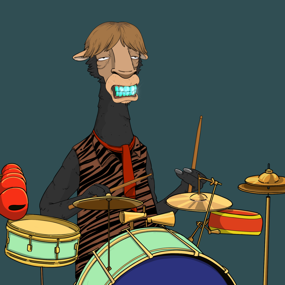 Jammin' Alpacas #8062