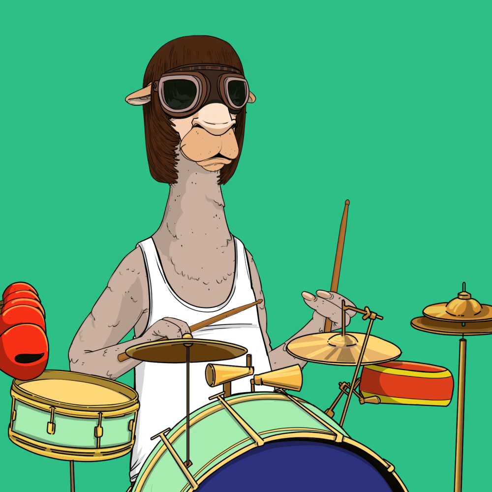 Jammin' Alpacas #8087