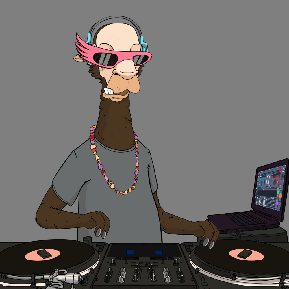 Jammin' Alpacas #8101