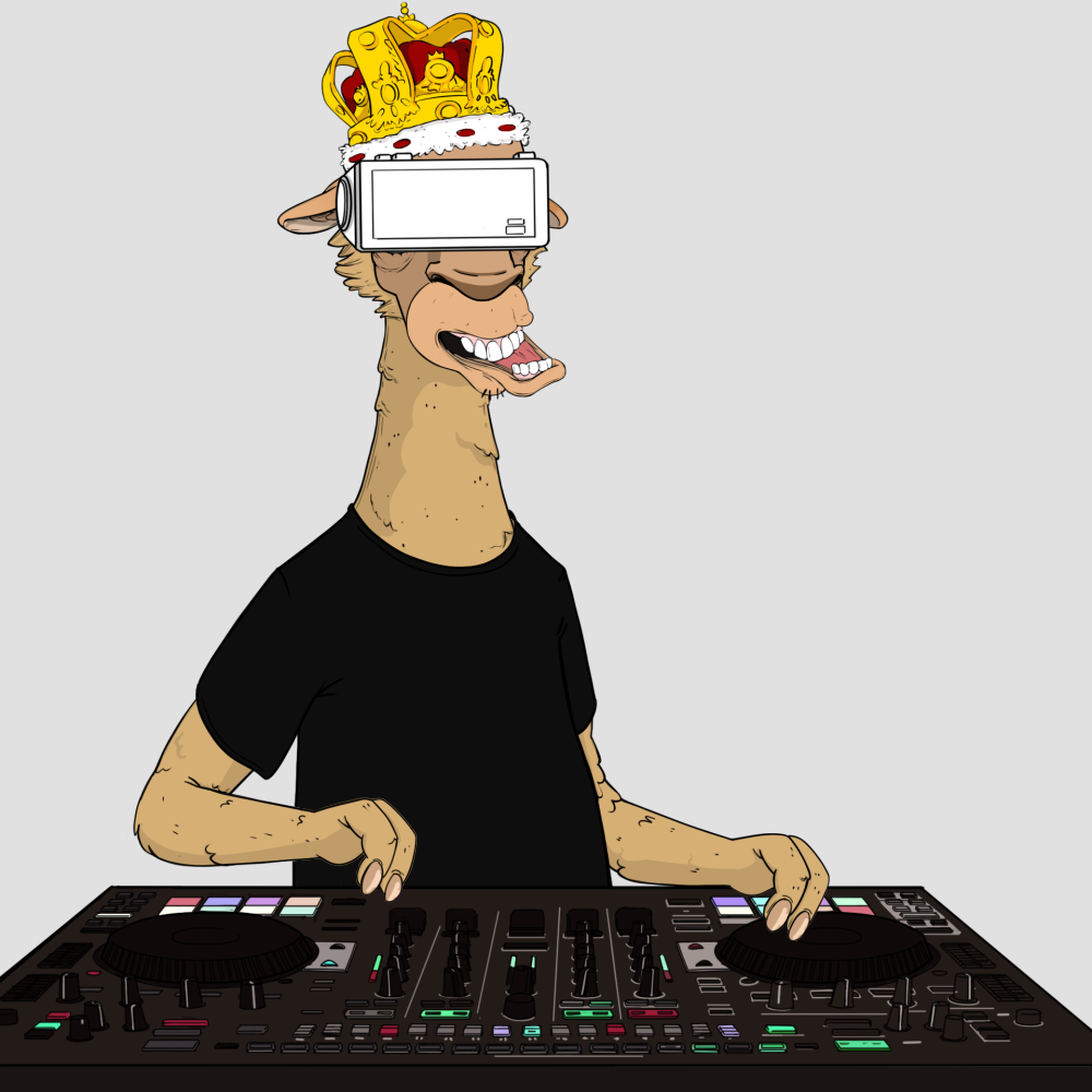 Jammin' Alpacas #8128
