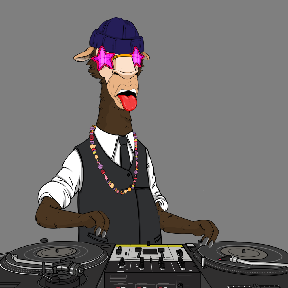 Jammin' Alpacas #8195