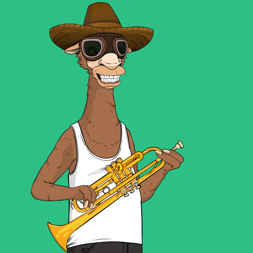Jammin' Alpacas #8208