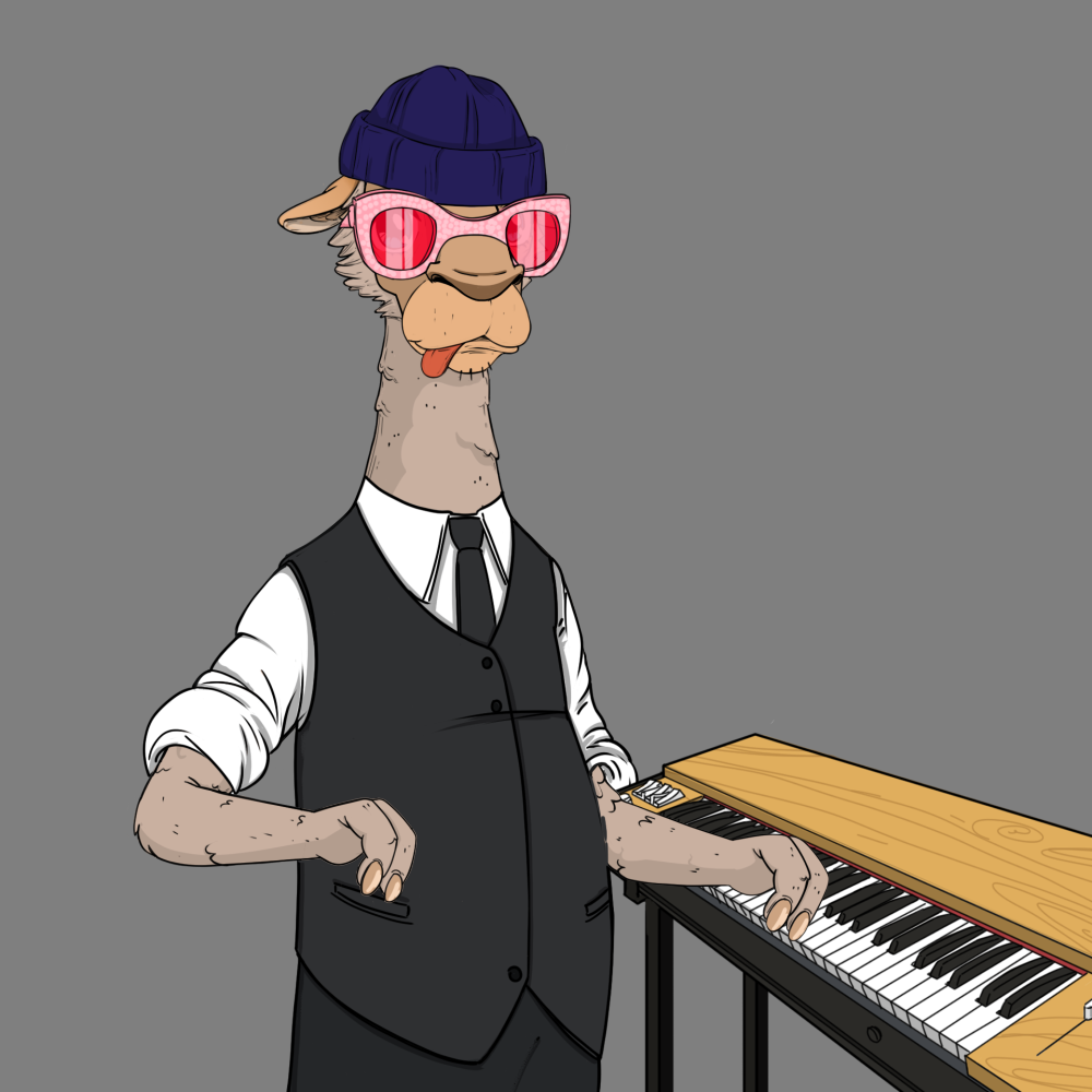 Jammin' Alpacas #8215