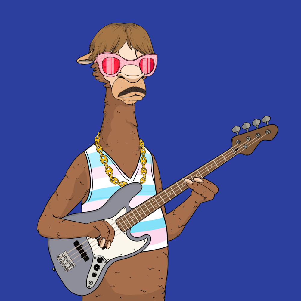 Jammin' Alpacas #8275