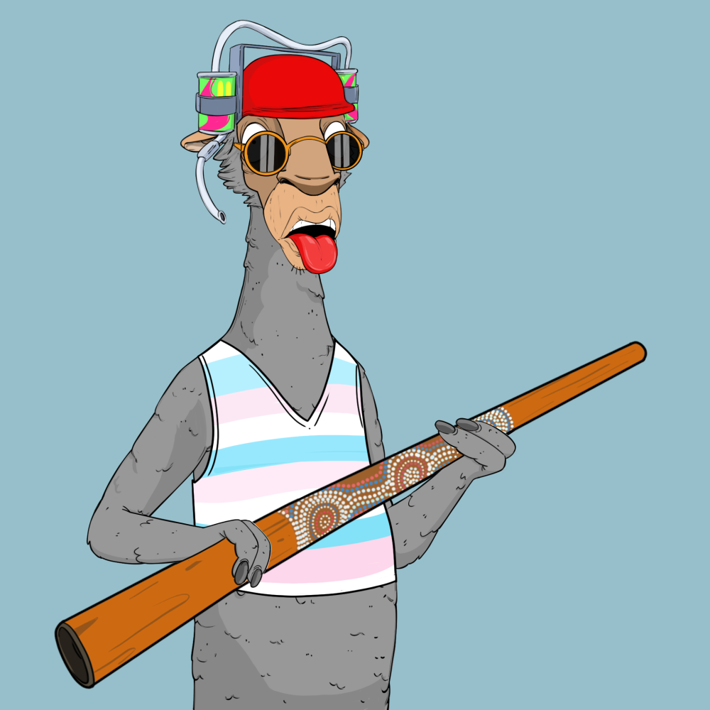 Jammin' Alpacas #8281