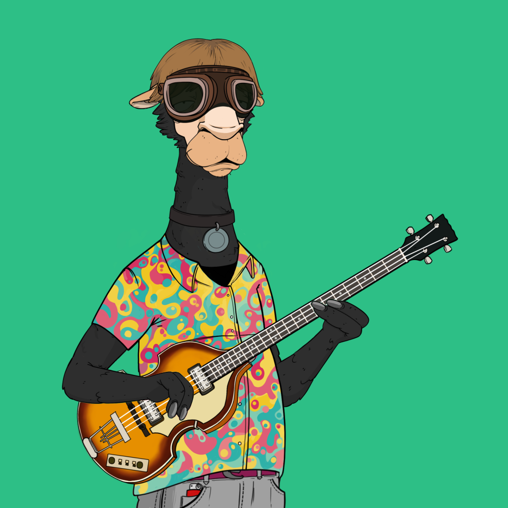 Jammin' Alpacas #8286