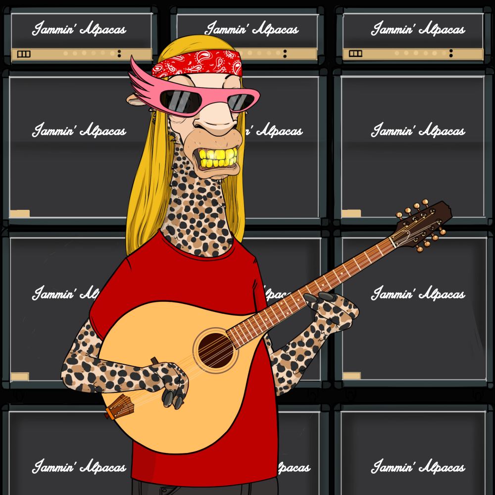 Jammin' Alpacas #8298