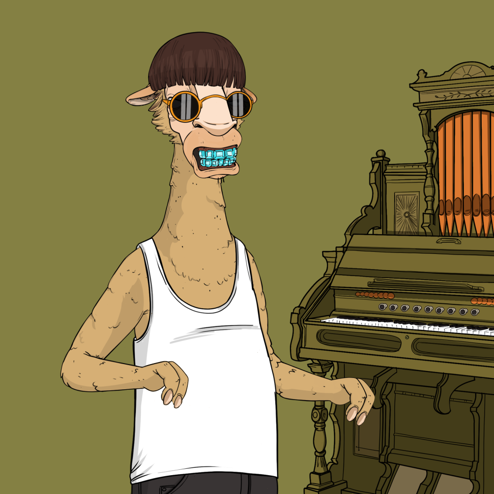Jammin' Alpacas #8342