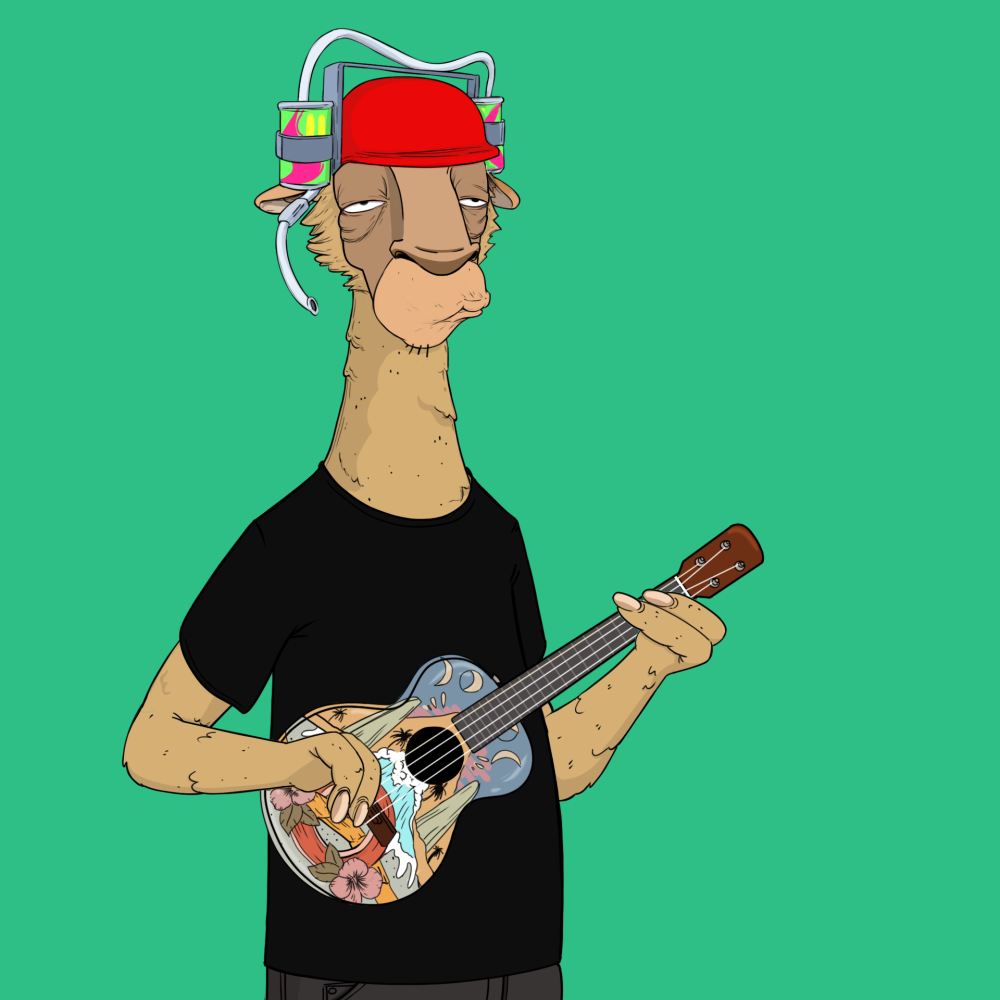 Jammin' Alpacas #8365