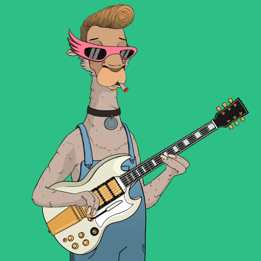 Jammin' Alpacas #8387