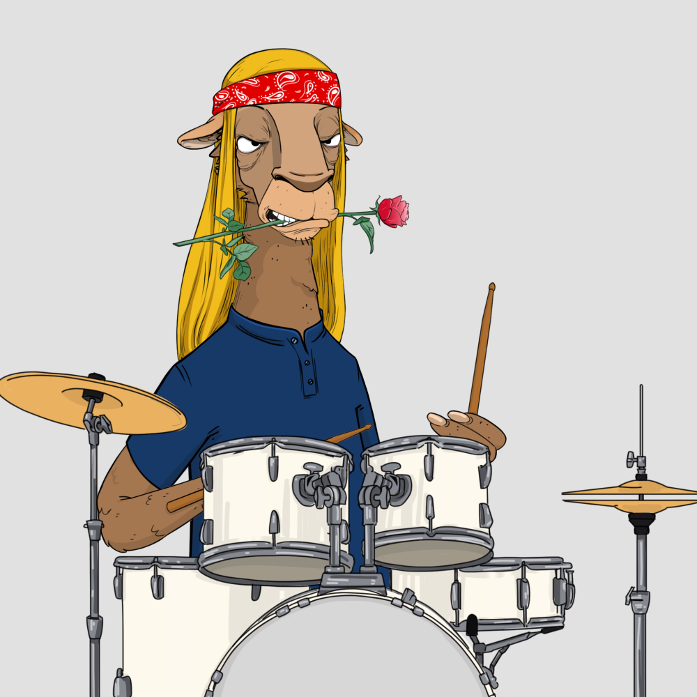 Jammin' Alpacas #8412