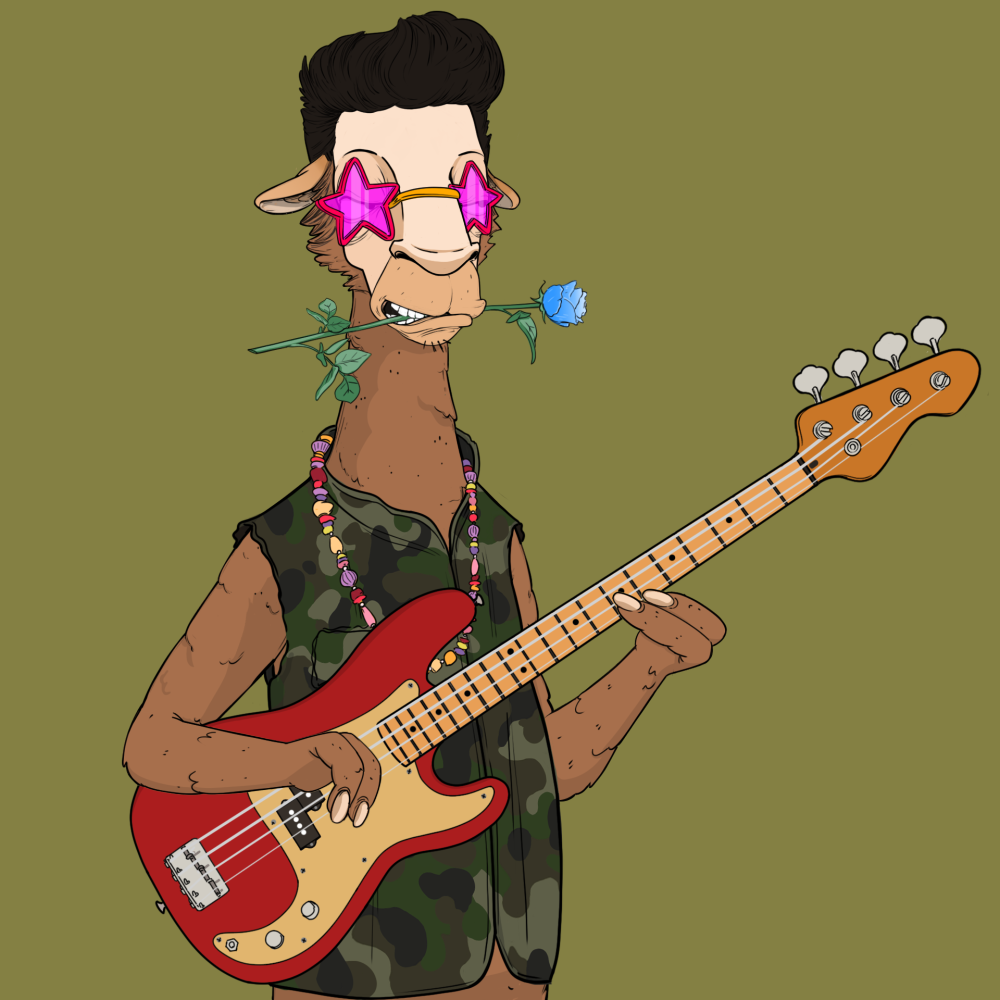 Jammin' Alpacas #8430