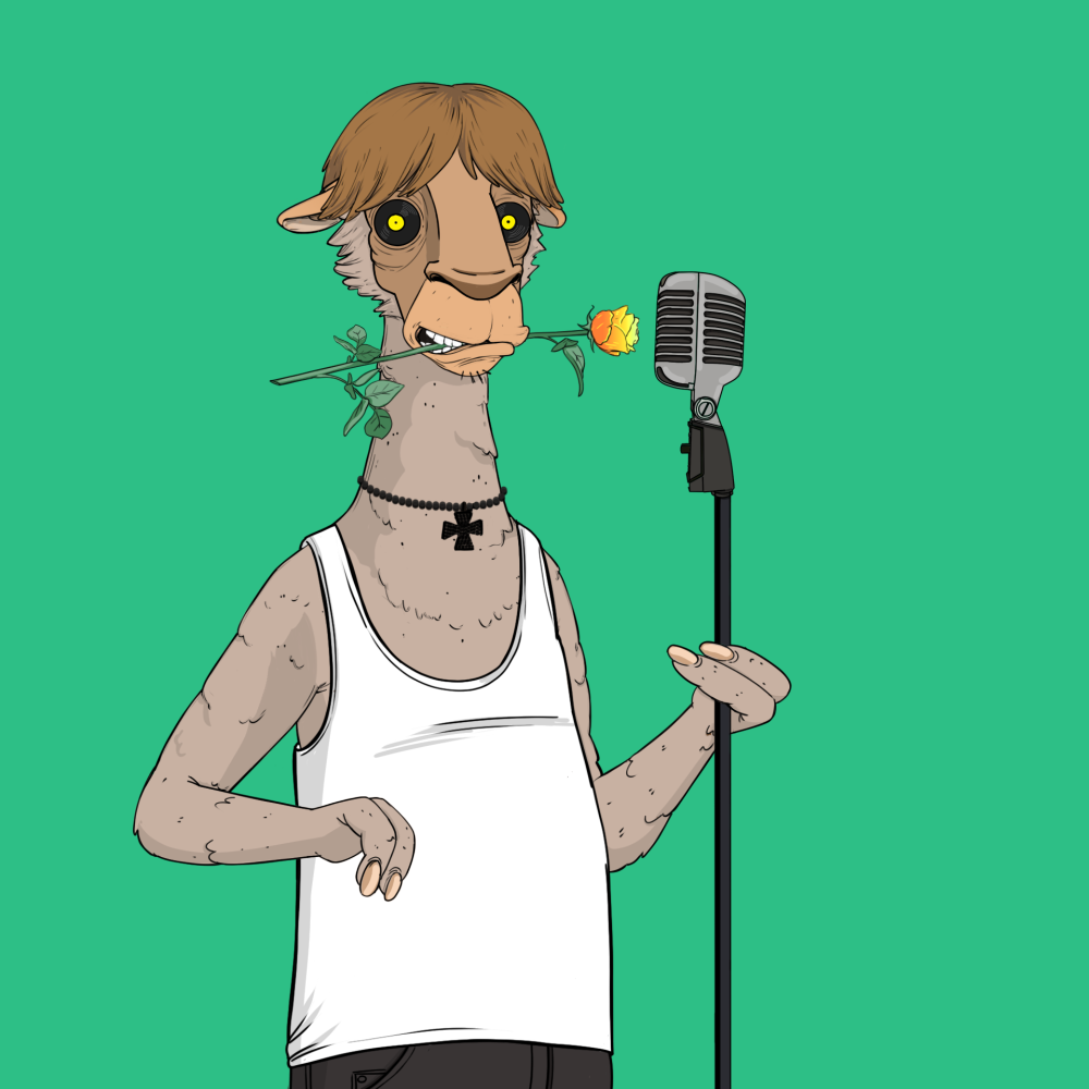 Jammin' Alpacas #8442
