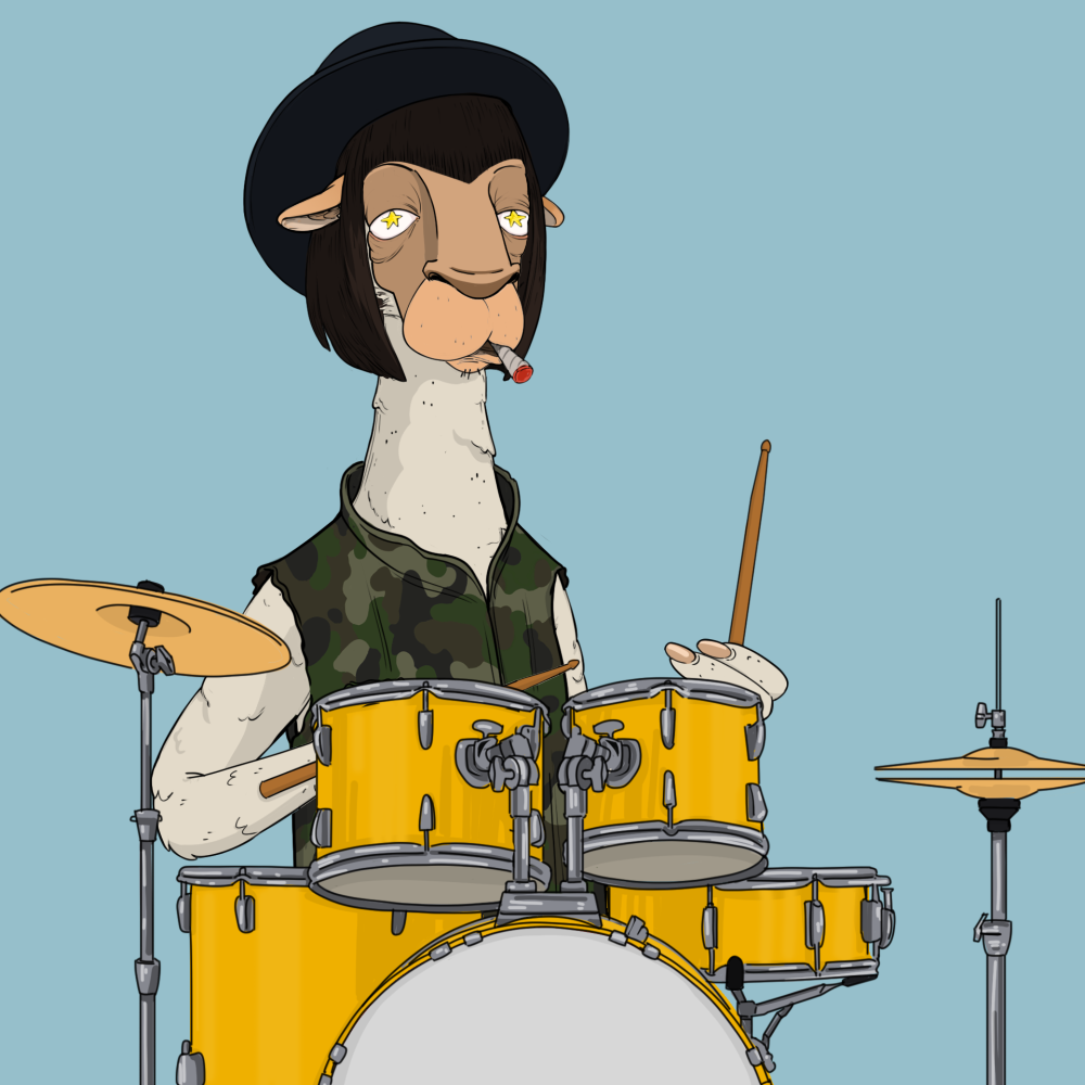 Jammin' Alpacas #8448