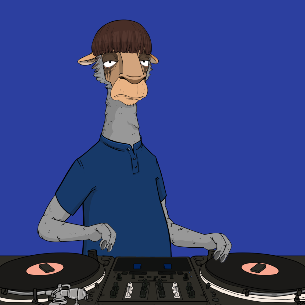 Jammin' Alpacas #8543