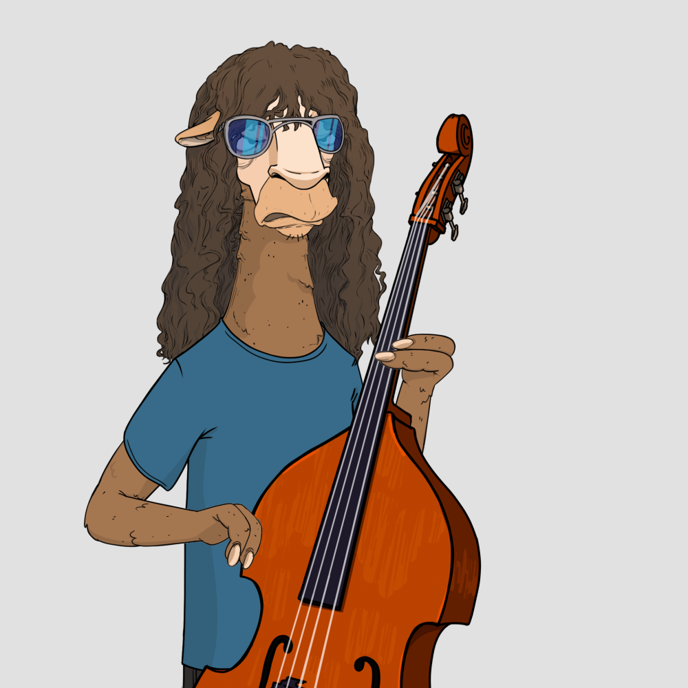Jammin' Alpacas #8568