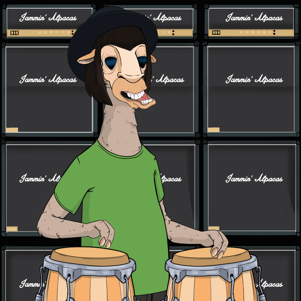 Jammin' Alpacas #8608