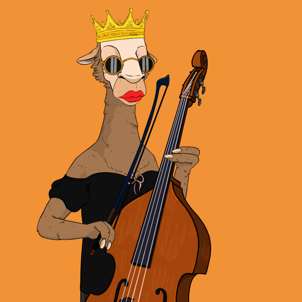 Jammin' Alpacas #8665