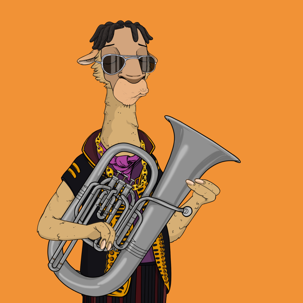 Jammin' Alpacas #8673