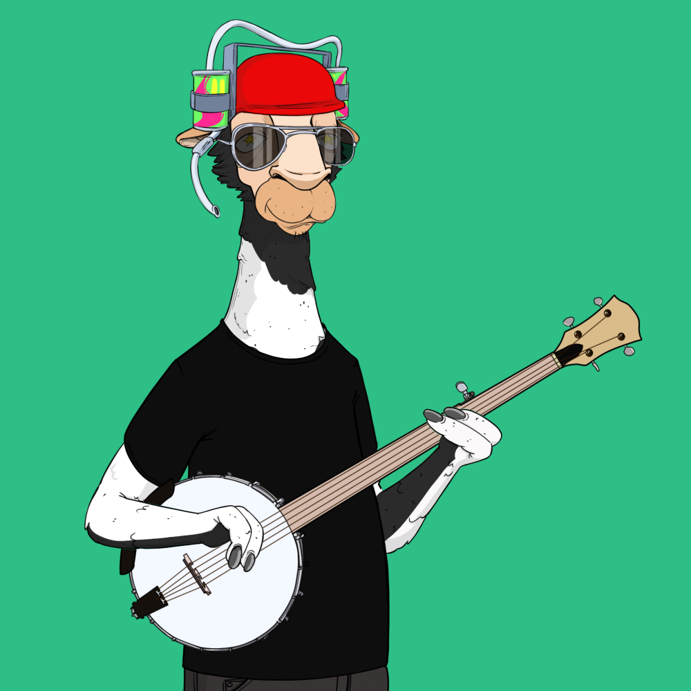 Jammin' Alpacas #8699