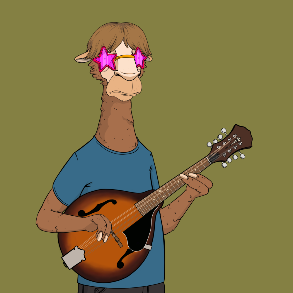 Jammin' Alpacas #8703