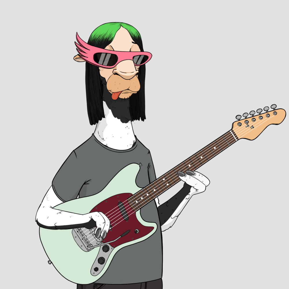 Jammin' Alpacas #8726