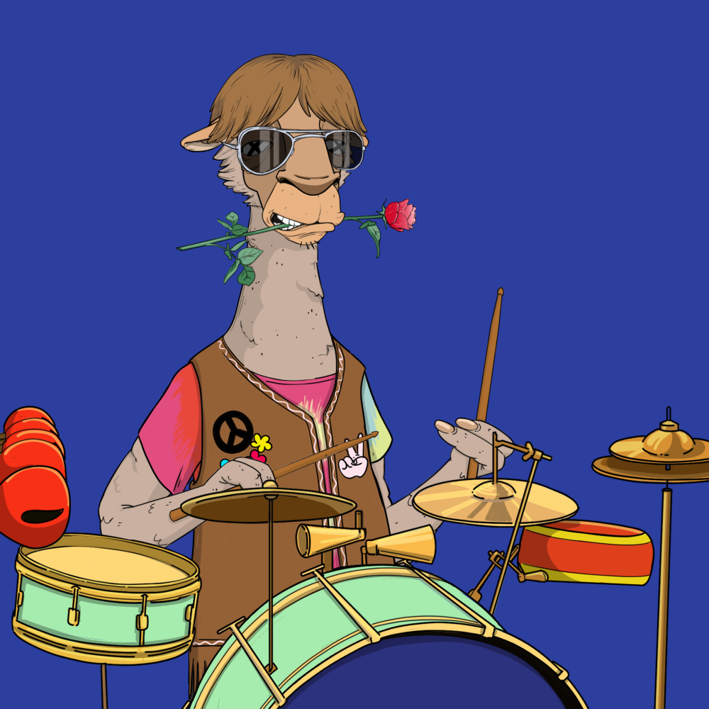 Jammin' Alpacas #8744