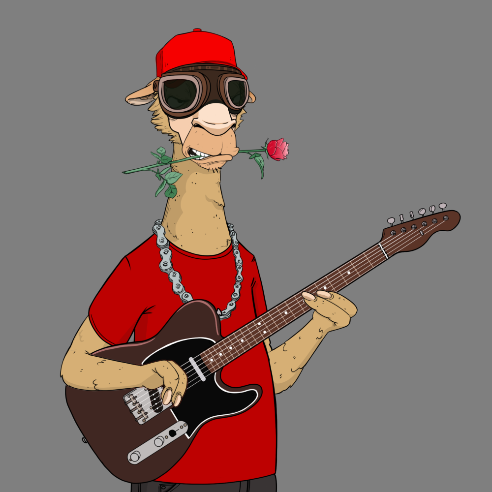 Jammin' Alpacas #8778