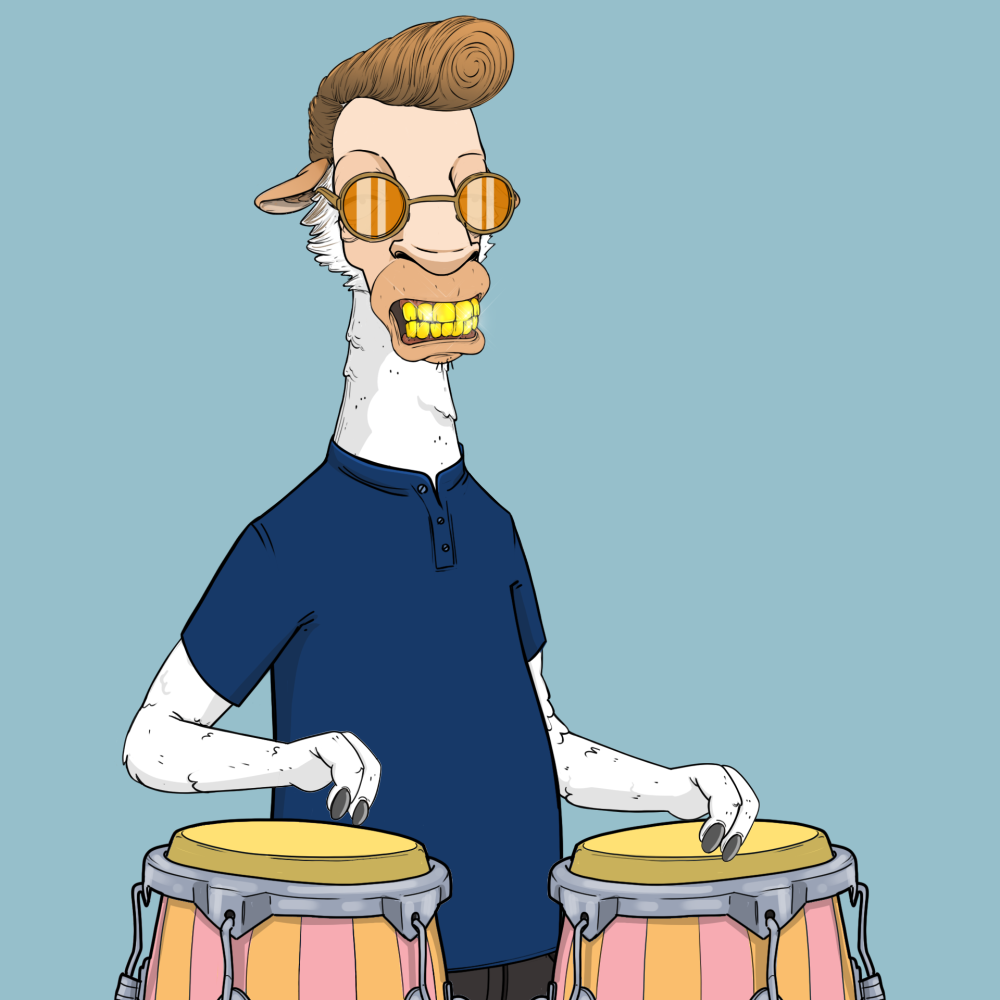Jammin' Alpacas #8799