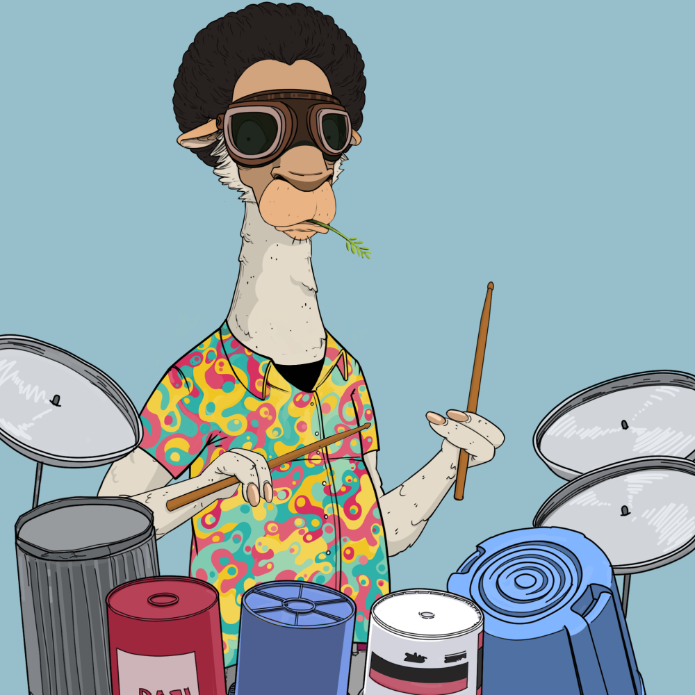 Jammin' Alpacas #8807