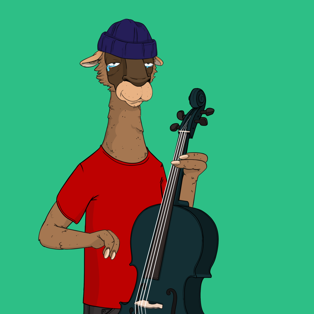 Jammin' Alpacas #8811