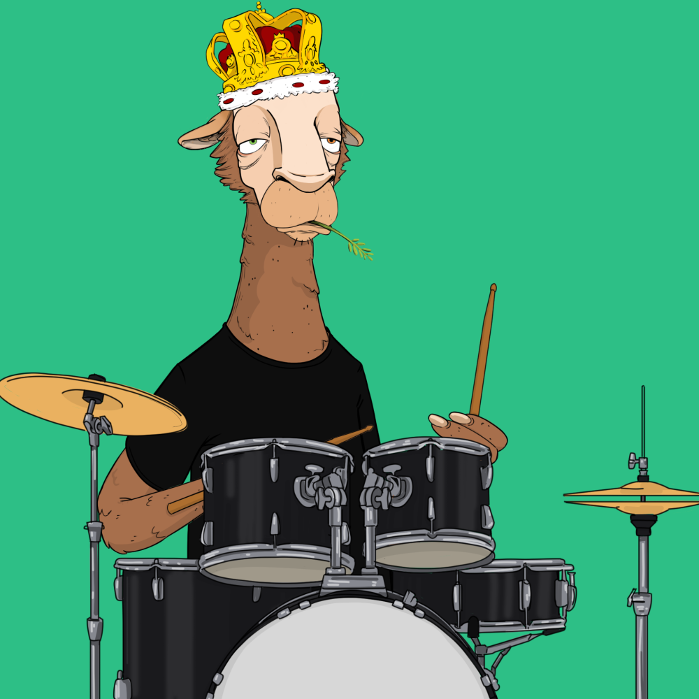 Jammin' Alpacas #8824