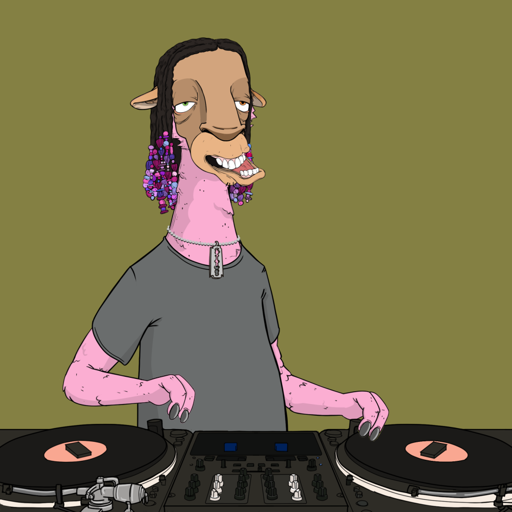 Jammin' Alpacas #8844