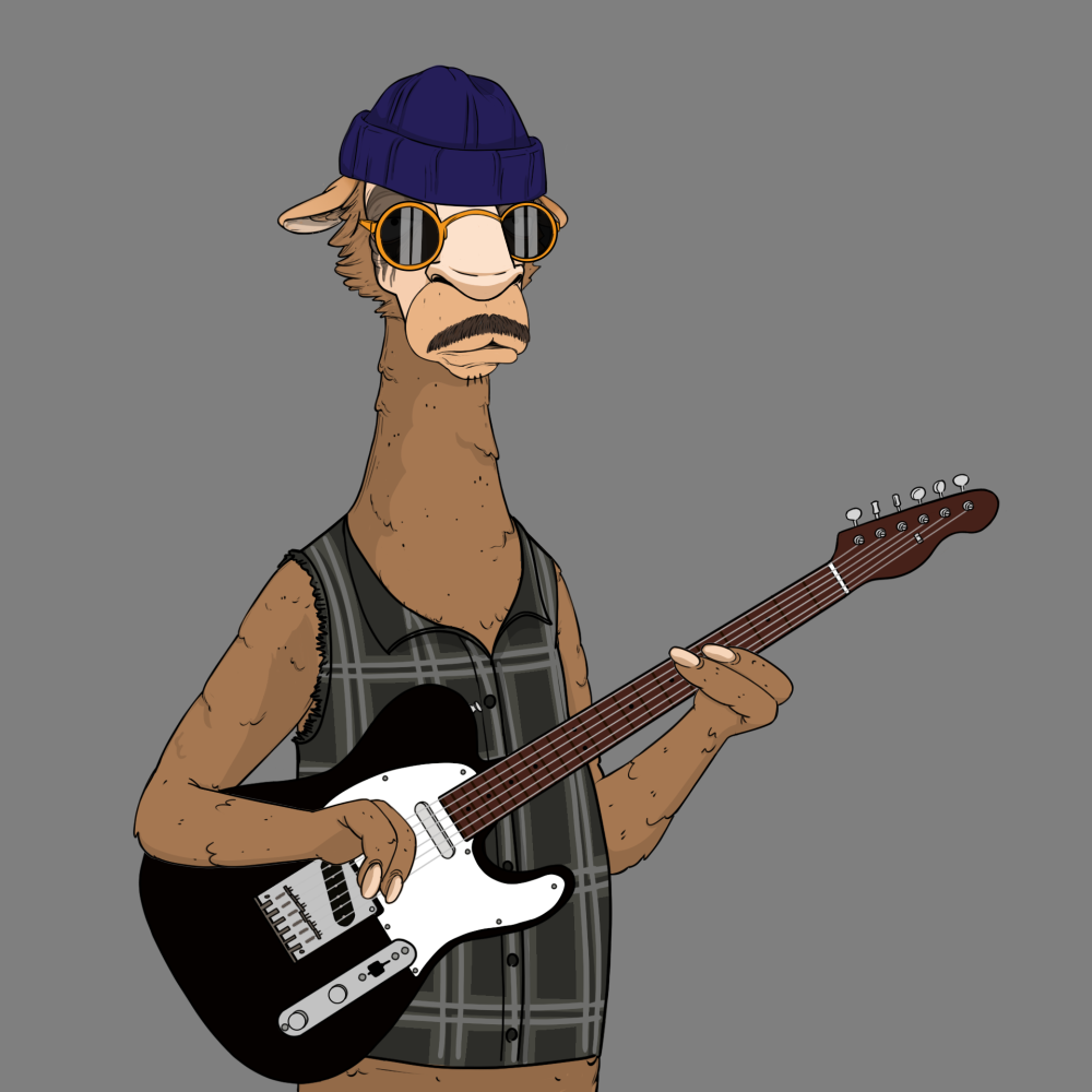 Jammin' Alpacas #8861