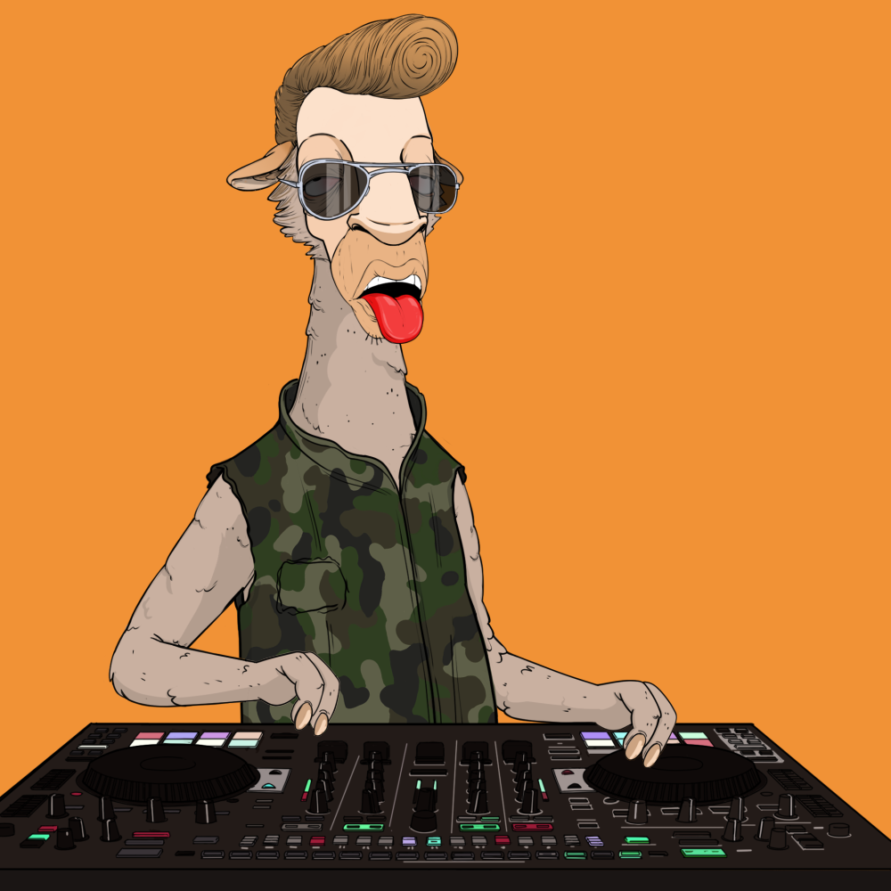 Jammin' Alpacas #8862